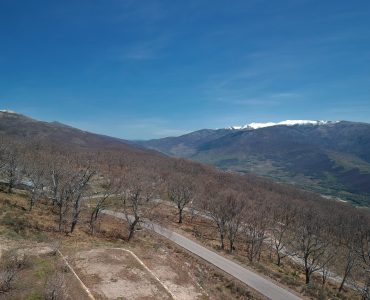 DJI_0648-scaled.jpg