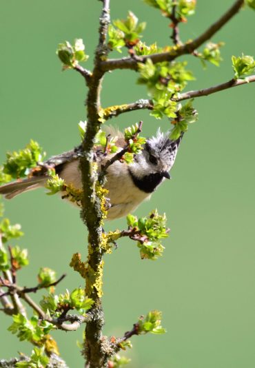 DSC_5715-scaled.jpg